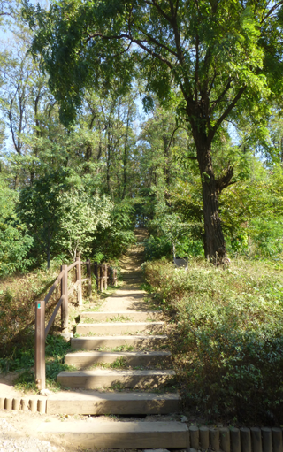 염창산 산책길 이미지