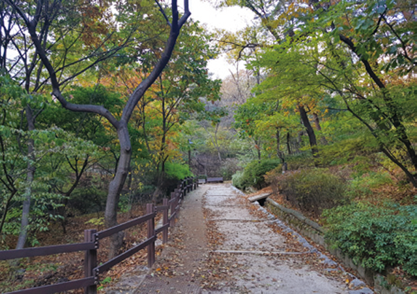 삼청공원 순환산책길 이미지