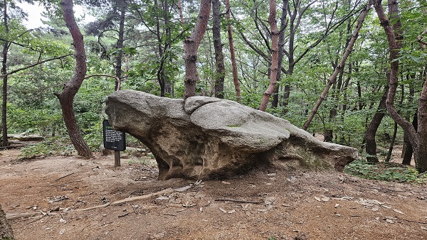 공룡바위 이미지