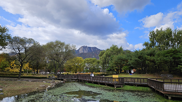 서울창포원 이미지