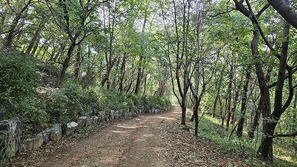 우면산